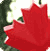 Girl with Maple Leaf Antennas